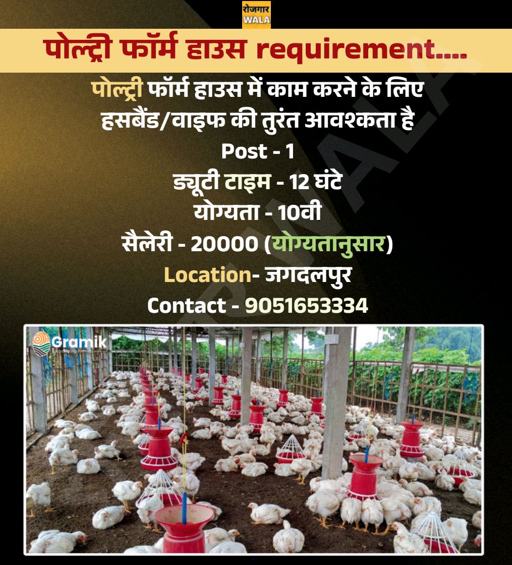 पॉटरी फॉर्म हाउस कपल चाहिए / potery form House couple chahiye