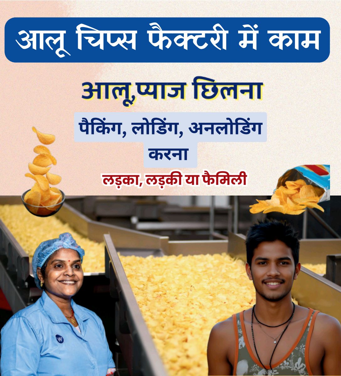 CHIPS FACTORY